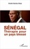 Sénégal. Thérapie pour un pays blessé