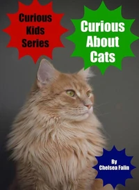 Curious About Cats