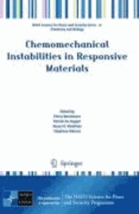 Pierre Borckmans - Chemomechanical Instabilities in Responsive Materials.