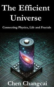 The Efficient Universe