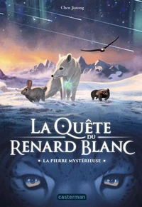 La pierre mystérieuse