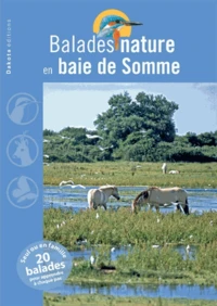 Balades nature en baie de Somme