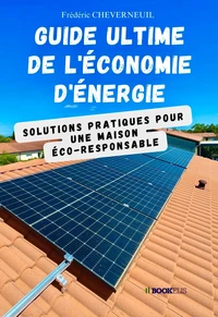 Guide Ultime de l'Économie d'Énergie