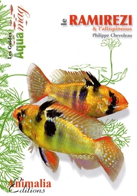 Le ramirezi & l'altispinosus