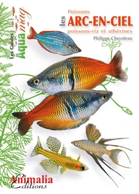 Les poissons arc-en-ciel