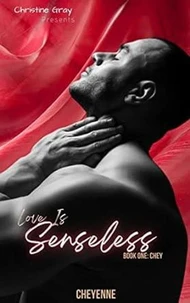 Love Is Senseless, Book One Chey