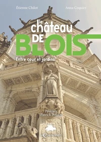 Le chateau de Blois