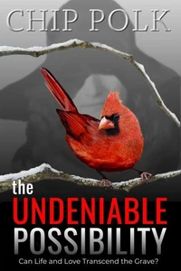 The Undeniable Possibility
