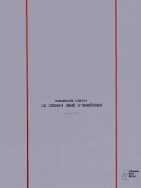 Le chemin semé d'embûches