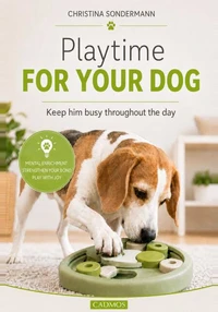 Playtime for your dog