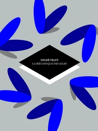 La mécanique des ailes