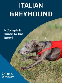 Italian Greyhound: A Complete Guide to the Breed