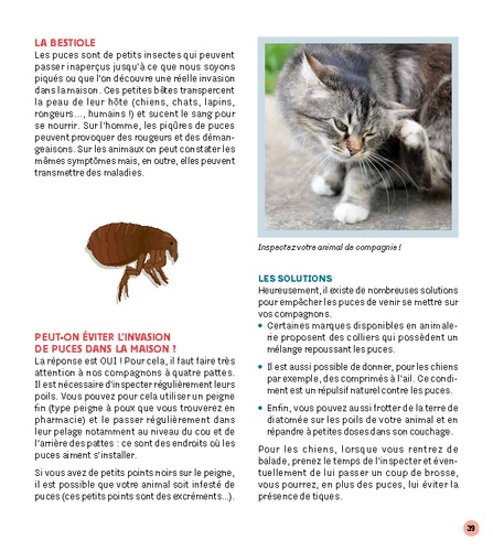 Stratégie anti-bestioles à ma maison. Zéro difficulté, zéro pesticide, zéro dépense