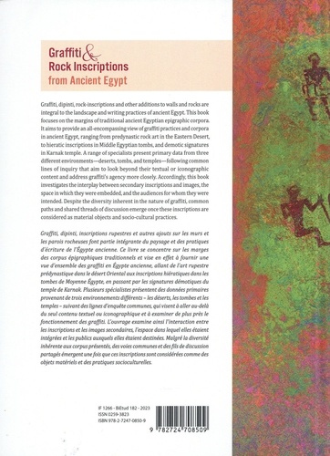 Graffiti and Rock Inscriptions from Ancient Egypt. A Companion to Secondary Epigraphy