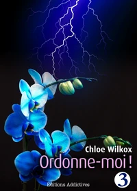Ordonne-moi ! - vol. 3