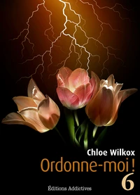 Ordonne-moi ! - vol. 6