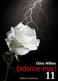 Ordonne-moi ! - vol. 11