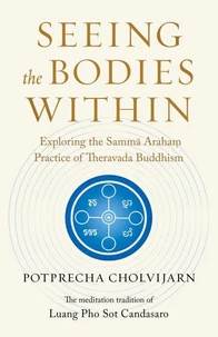 Seeing the Bodies Within