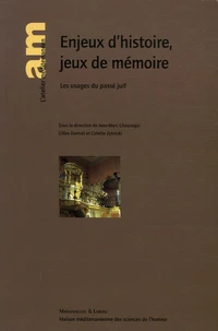 Enjeux d'histoire, jeux de mémoire