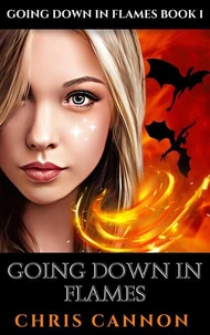 Going Down In Flames