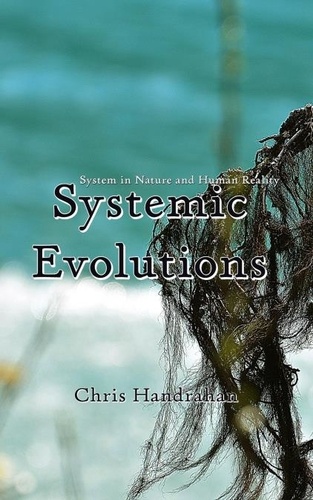  Chris Handrahan - Systemic Evolutions.