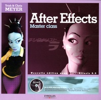 Chris Meyer - After Effects - Master class. 1 Cédérom