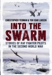Into the Swarm: Stories of RAF Fighter Pilots in the Second World War