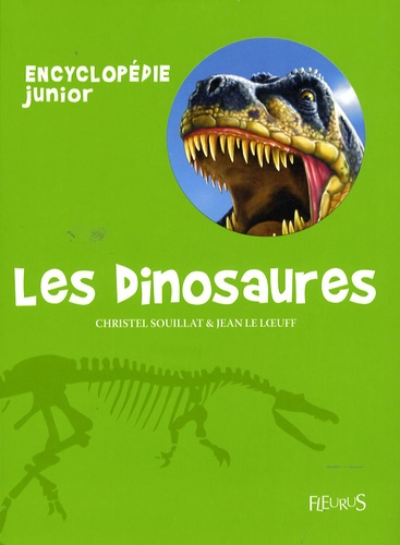 Christel Souillat et Jean Le Loeuff - Les dinosaures.