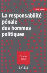 La responsabilité pénale des hommes politiques