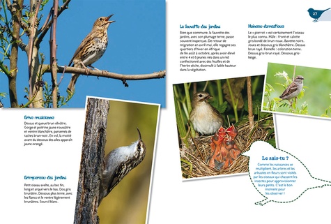 Les oiseaux du jardin