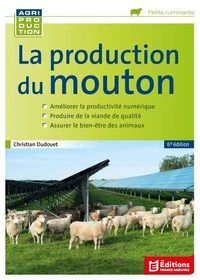 La production du mouton