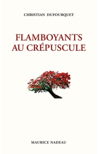 Christian Dufourquet - Flamboyants au crépuscule.