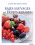 Christian Havenith - Baies sauvages et fruits rouge.