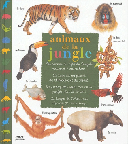 Christian Haward et Catherine Fichaux - Animaux de la jungle.