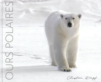 Ours polaires