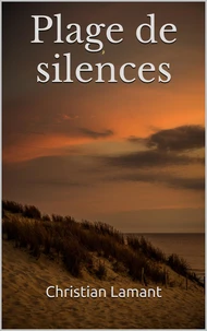 Plage de silences