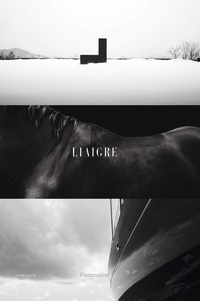 Téléchargez le format pdf de Google Books en ligne Liaigre - 12 Projects par (Litterature Francaise)