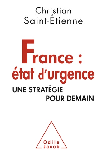 France : état d'urgence. Une stratégie pour demain