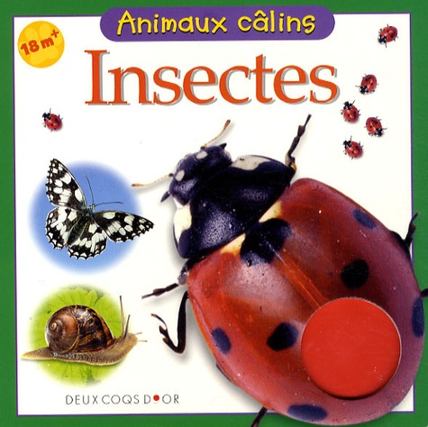 Christiane Gunzi - Insectes.
