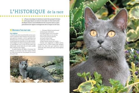 Le chartreux