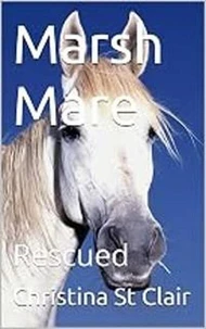 Marsh Mare  Rescued