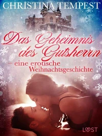 Das Geheimnis des Gutsherrn – eine erotische Weihnachtsgeschichte