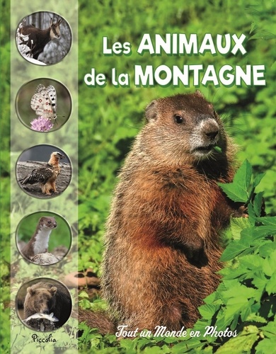 Les animaux de la montagne de Christine Baillet - Album - Livre - Decitre