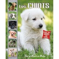 Les chiots.pdf
