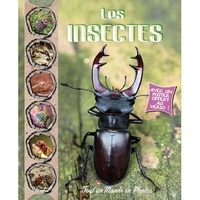 Les insectes.pdf