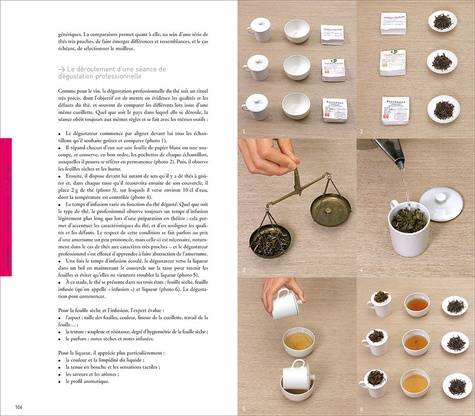Le guide de dégustation de l'amateur de thé 4e édition