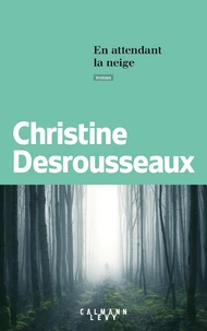 En attendant la neige