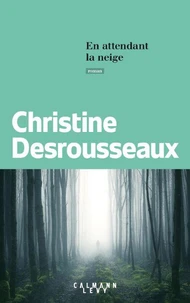 En attendant la neige