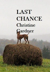 Last Chance