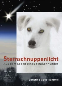 Sternschnuppenlicht